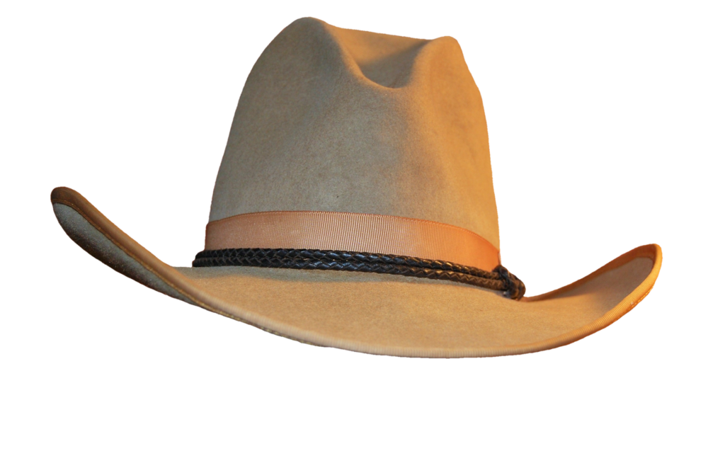 Cowboy Carter Beyonce